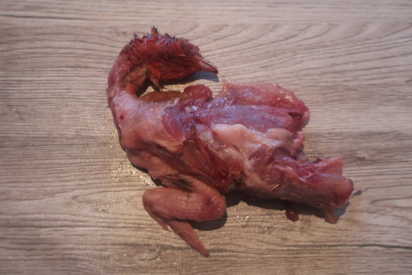 corps de cailles 1kg